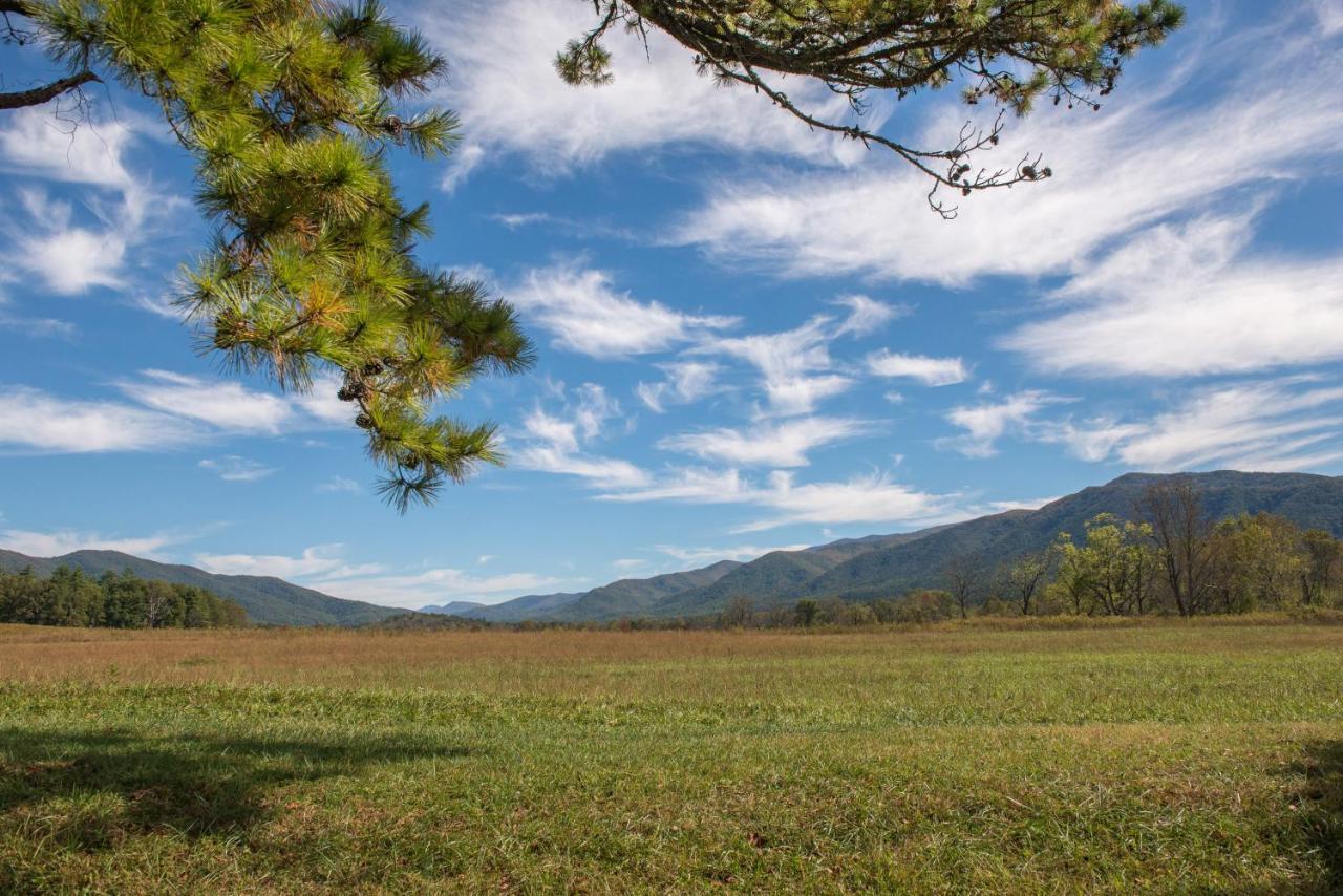 Papaw'S Bear Den Villa Pigeon Forge Eksteriør bilde